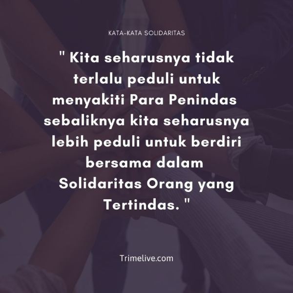 Detail Kata Kata Solidaritas Kawan Nomer 4