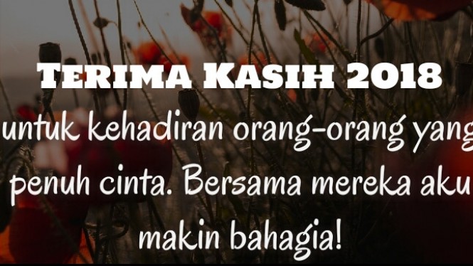 Detail Kata Kata Terima Kasih Cinta Nomer 55