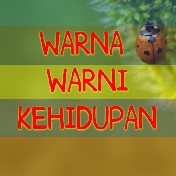 Detail Kata Kata Warna Warni Nomer 40