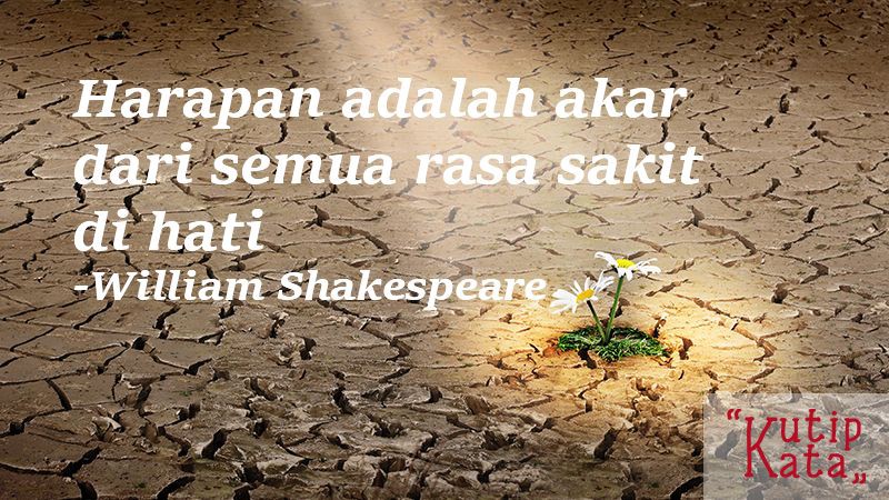 Detail Kata Kata Yang Menggambarkan Kekecewaan Nomer 8