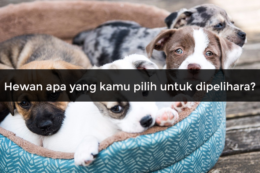 Detail Kata Kata Yg Menggambarkan Dirimu Nomer 43