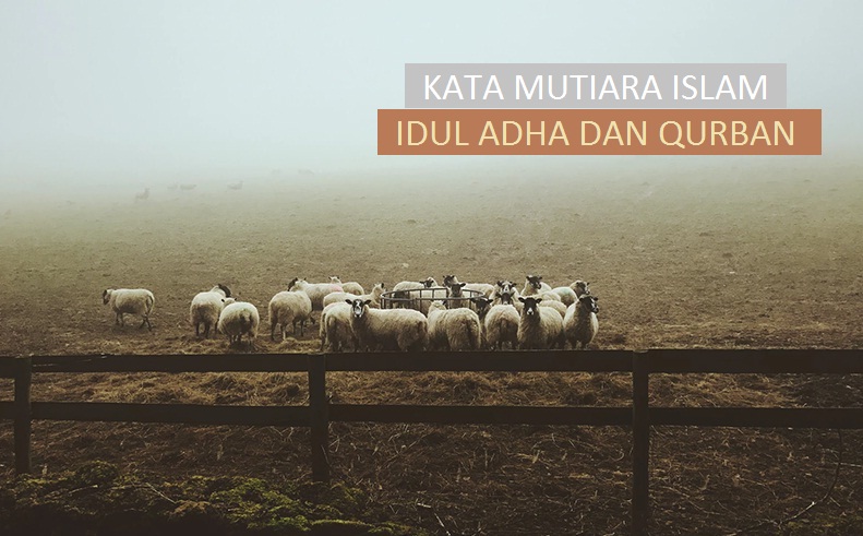 Detail Kata Mutiara Qurban Idul Adha Nomer 10