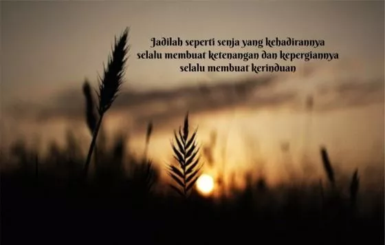 Detail Kata Mutiara Sunset Nomer 17