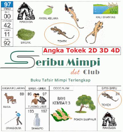 Detail 223 Buku Mimpi 3d Nomer 11