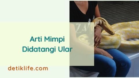 Detail Arti Mimpi Kaki Tertembak Buku Mimpi 3d Nomer 45