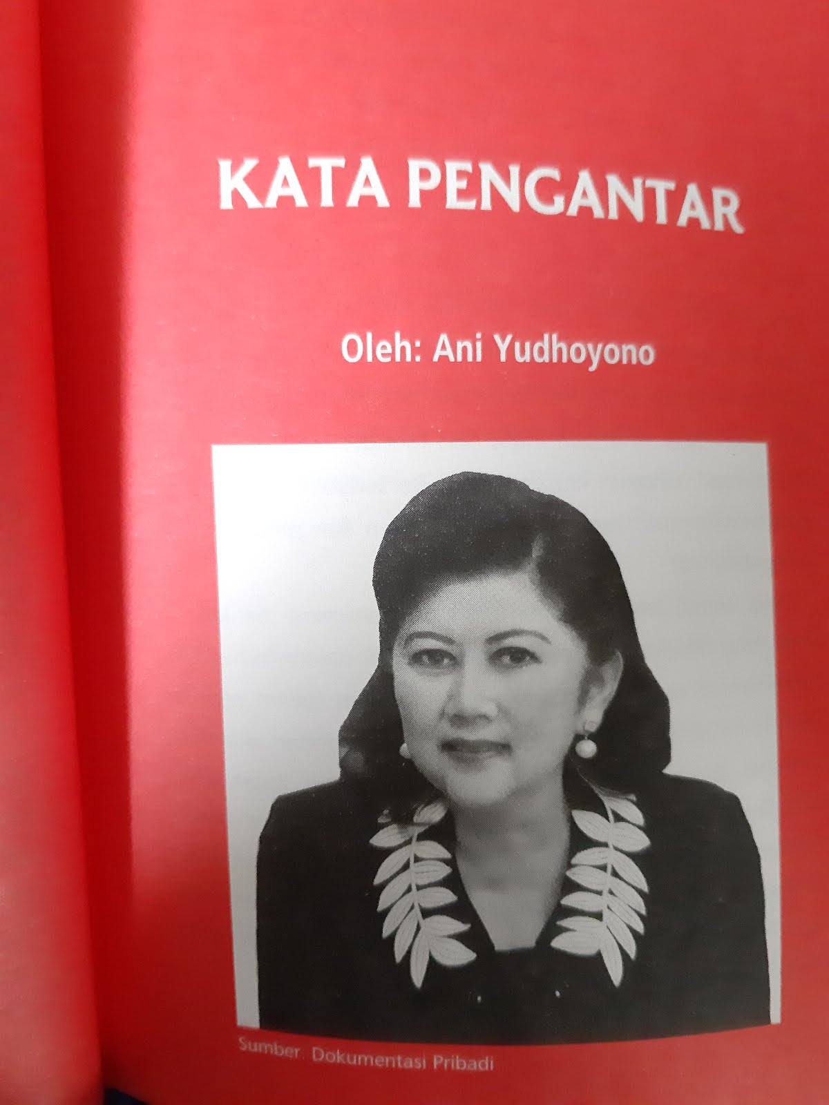 Detail Baca Buku Meuthia Rizki Memeluk Mimpi Mendayung Harapan Nomer 55