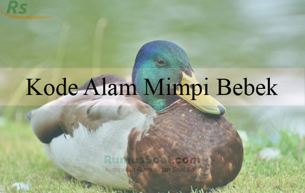 Detail Bebek Buku Mimpi 2d Nomer 10