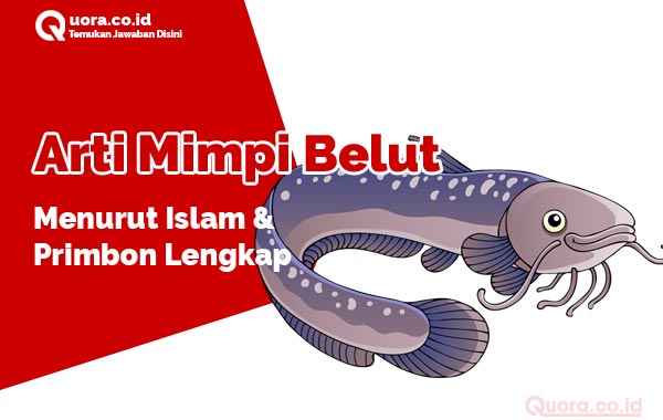 Detail Binatang Yang Dihisap Dalam Buku Tafsir Mimpi Nomer 23