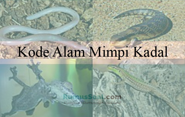 Buku Mimpi 2 Angka Kadal - KibrisPDR