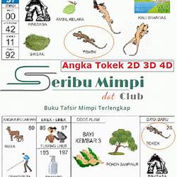 Detail Buku Mimpi 223 Nomer 41