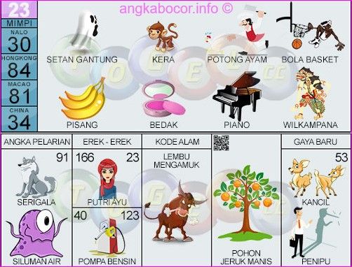 Detail Buku Mimpi 2d 81 Nomer 43