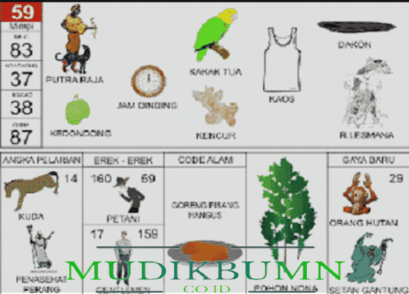 Detail Buku Mimpi 2d Abjad A Z Nomer 37