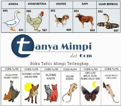 Detail Buku Mimpi 2d Angsa Nomer 13