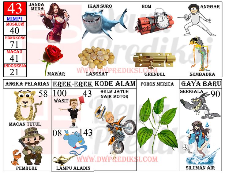 Detail Buku Mimpi 2d Bergambar Nomer 22