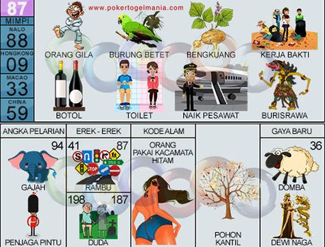 Detail Buku Mimpi 2d Bergambar Pesawat Nomer 5