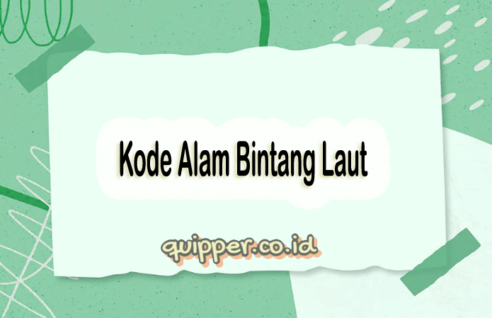 Detail Buku Mimpi 2d Bintang Nomer 13