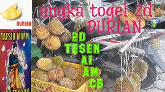 Detail Buku Mimpi 2d Buah Duren Nomer 38