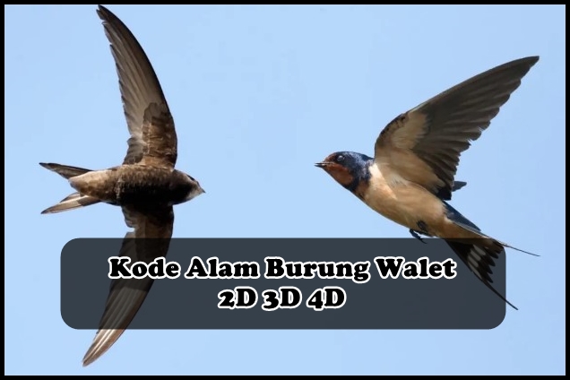 Detail Buku Mimpi 2d Burung Walet Nomer 6