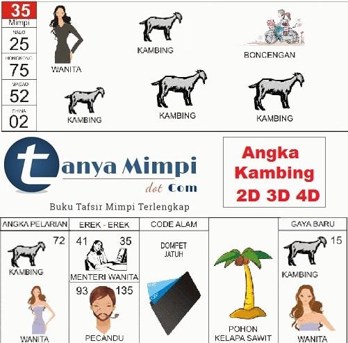 Detail Buku Mimpi 2d Dikeyok Org Nomer 16