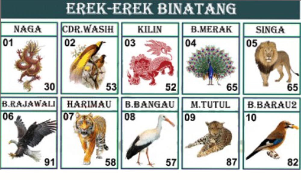 Buku Mimpi 2d Erek Erek Binatang - KibrisPDR