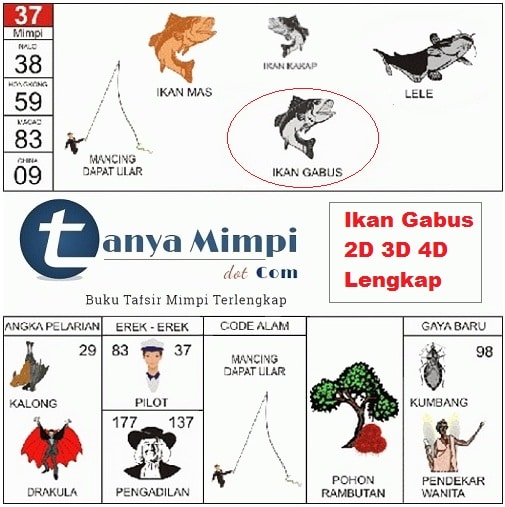 Detail Buku Mimpi 2d Erek Erek Binatang Nomer 23