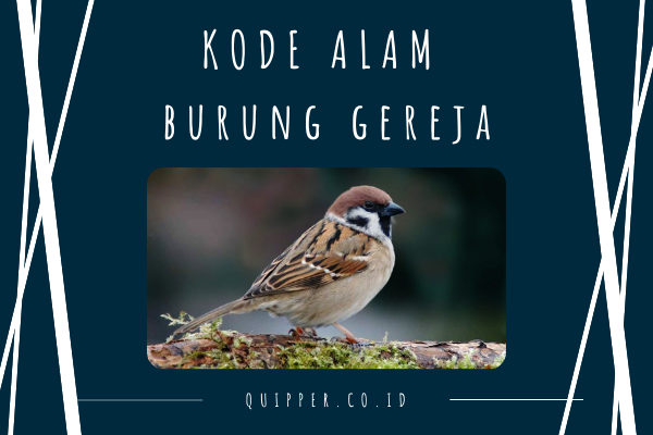 Detail Buku Mimpi 2d Gereja Nomer 27