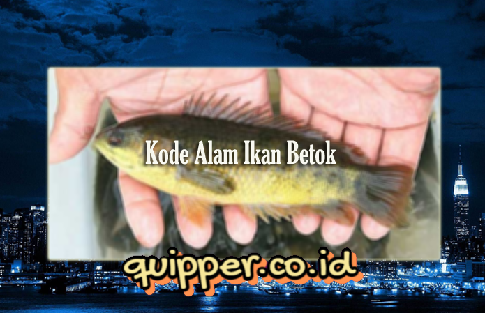 Detail Buku Mimpi 2d Ikan Betok Nomer 4