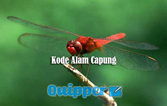 Detail Buku Mimpi 2d Jarum Nomer 23