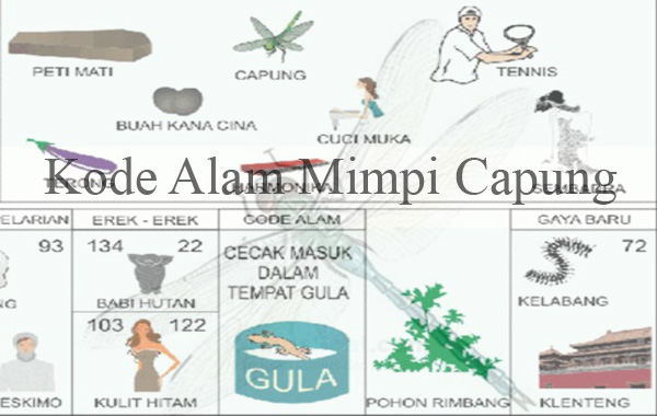 Detail Buku Mimpi 2d Jarum Nomer 41