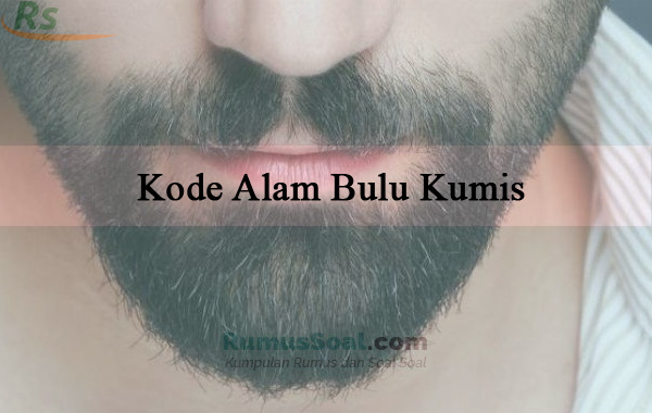 Detail Buku Mimpi 2d Kumis Nomer 4