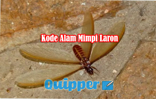 Buku Mimpi 2d Laron - KibrisPDR