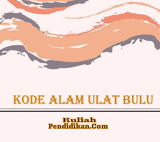 Detail Buku Mimpi 2d Ulat Nomer 28