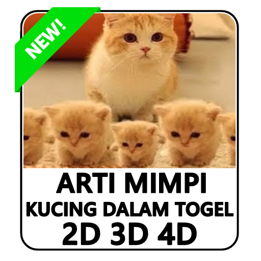 Detail Buku Mimpi 3 D 157 Nomer 26