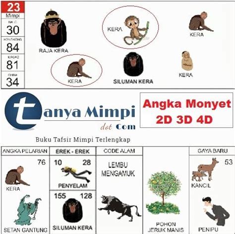 Detail Buku Mimpi 3d 155 Nomer 5