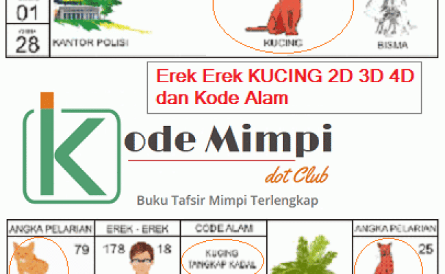 Detail Buku Mimpi 3d 221 Nomer 29