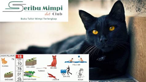 Detail Buku Mimpi 3d 339 Nomer 33