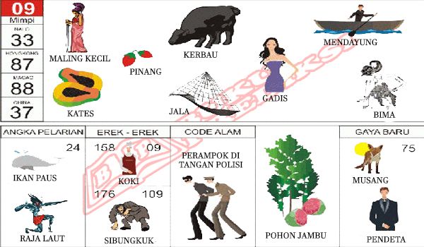 Detail Buku Mimpi 3d Api Unggun Nomer 11