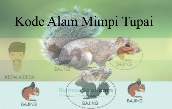 Buku Mimpi 3d Bajing - KibrisPDR