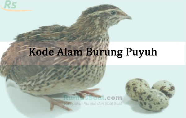 Detail Buku Mimpi 3d Burung Nomer 37