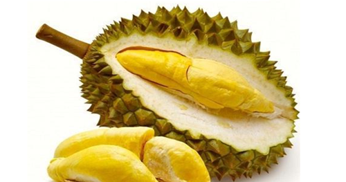 Detail Buku Mimpi 3d Durian Nomer 10