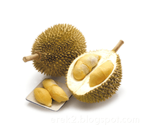 Detail Buku Mimpi 3d Durian Nomer 15
