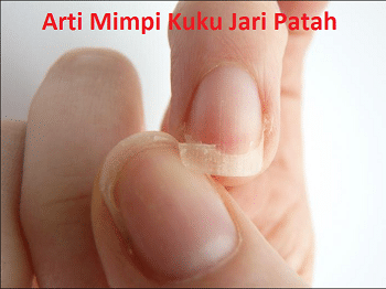 Detail Buku Mimpi 3d Jari Tangan Nomer 28