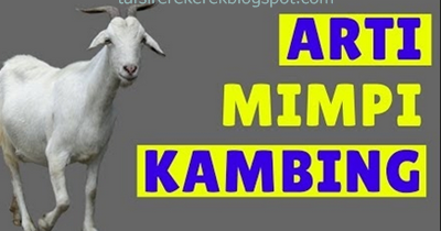 Detail Buku Mimpi 3d Kambing Nomer 23