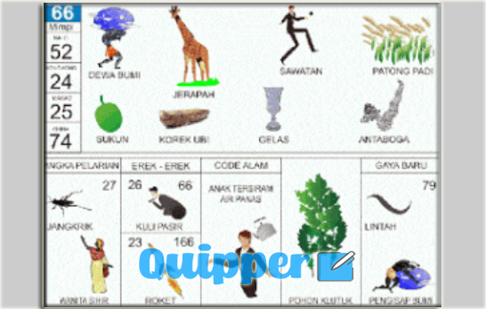 Detail Buku Mimpi 3d Korek Ubi Nomer 28
