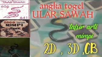 Detail Buku Mimpi 3d Korsi Nomer 29