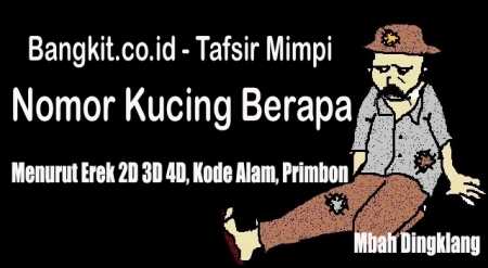 Detail Buku Mimpi 3d Kucing Tidur Nomer 35