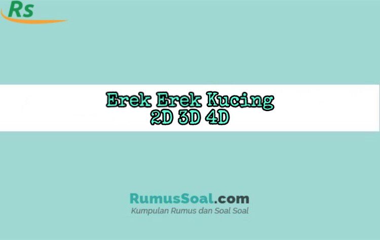 Detail Buku Mimpi 3d Kucing Tidur Nomer 45