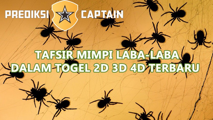 Detail Buku Mimpi 3d Laba Laba Nomer 20