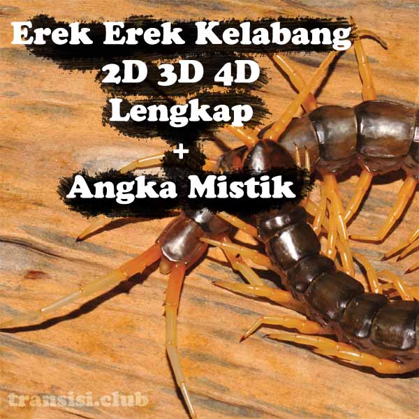 Detail Buku Mimpi 3d Lipan Nomer 9