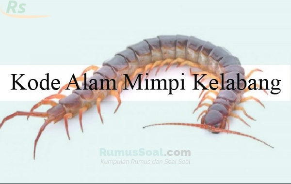 Buku Mimpi 3d Lipan - KibrisPDR